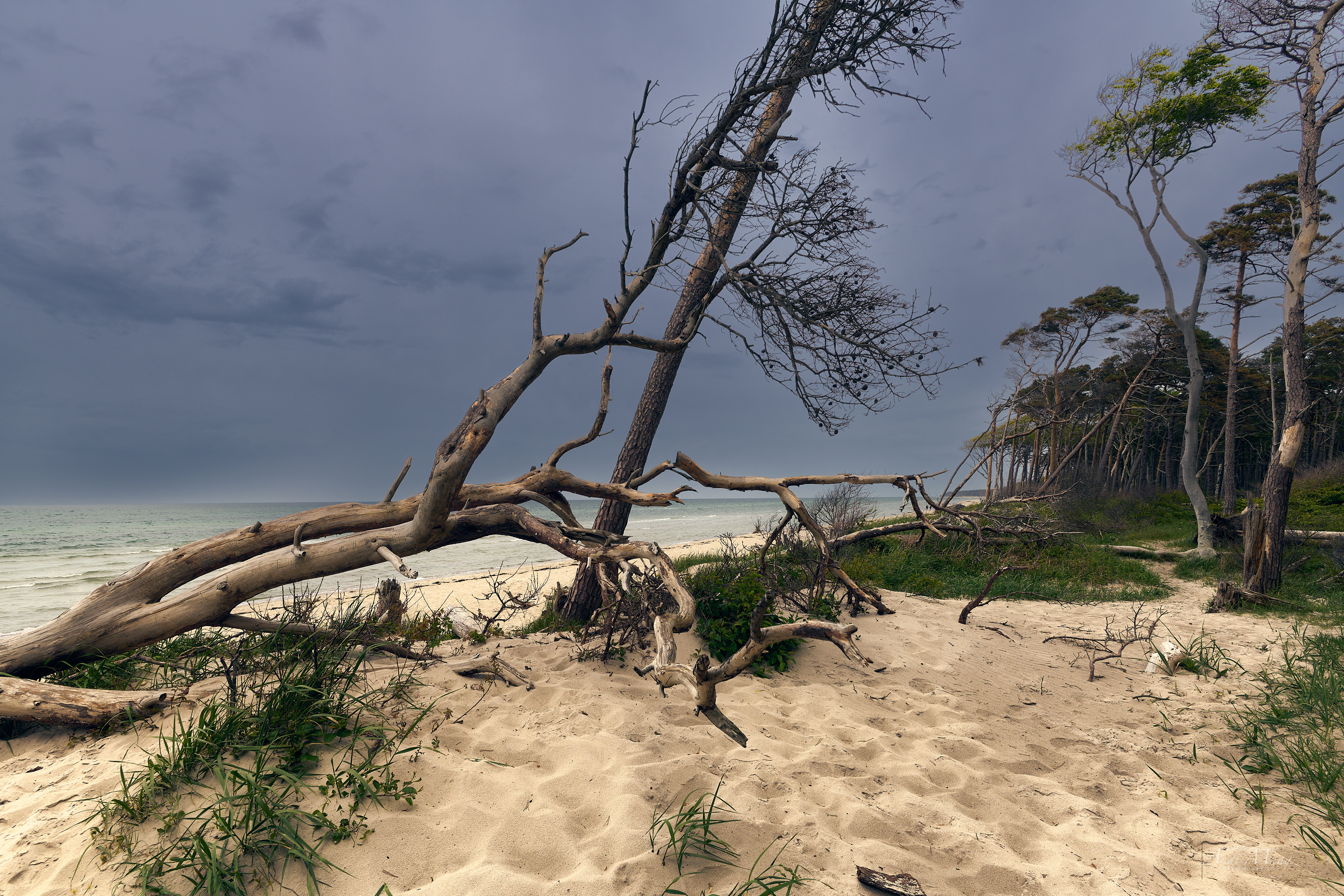  Baltic Sea 