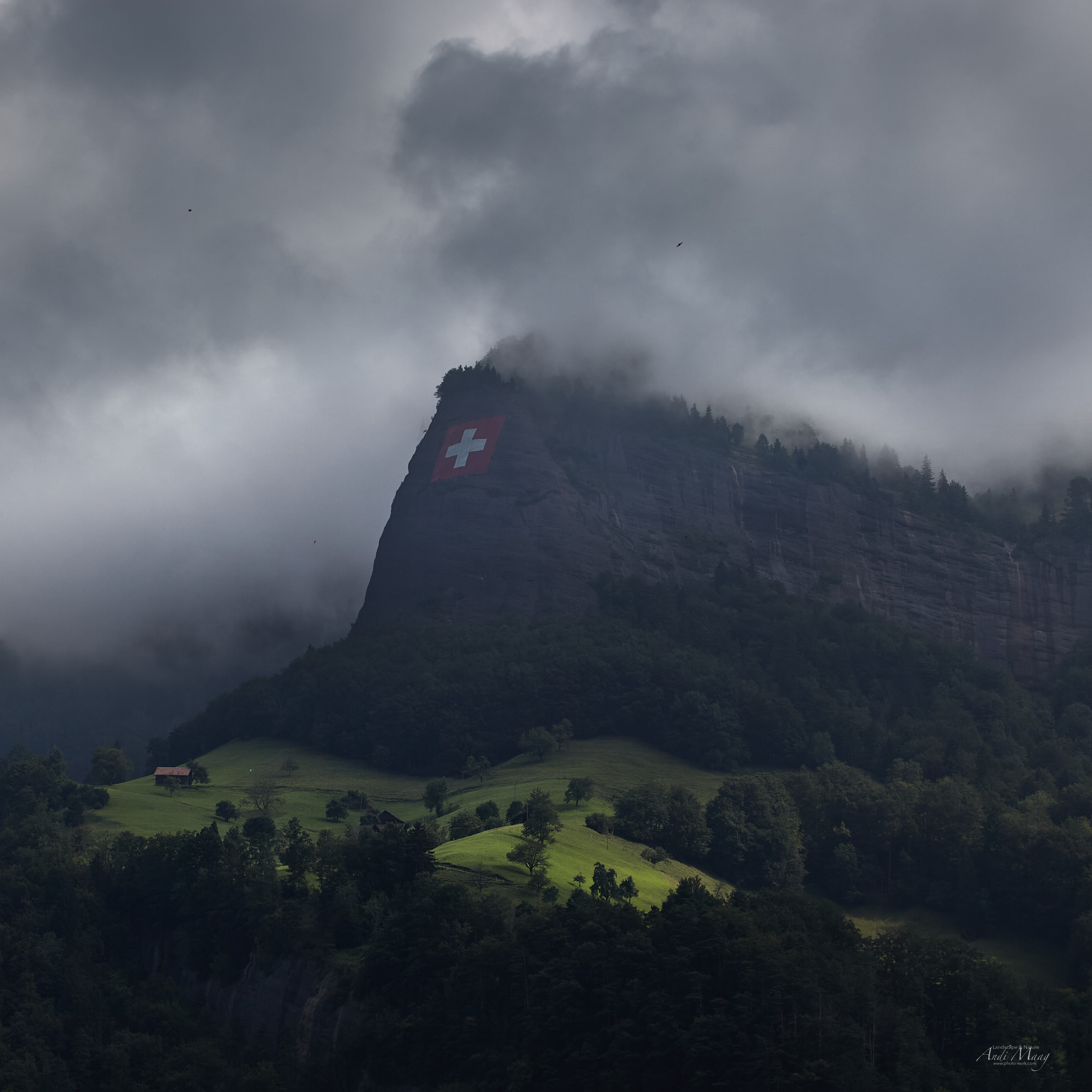  Swiss 