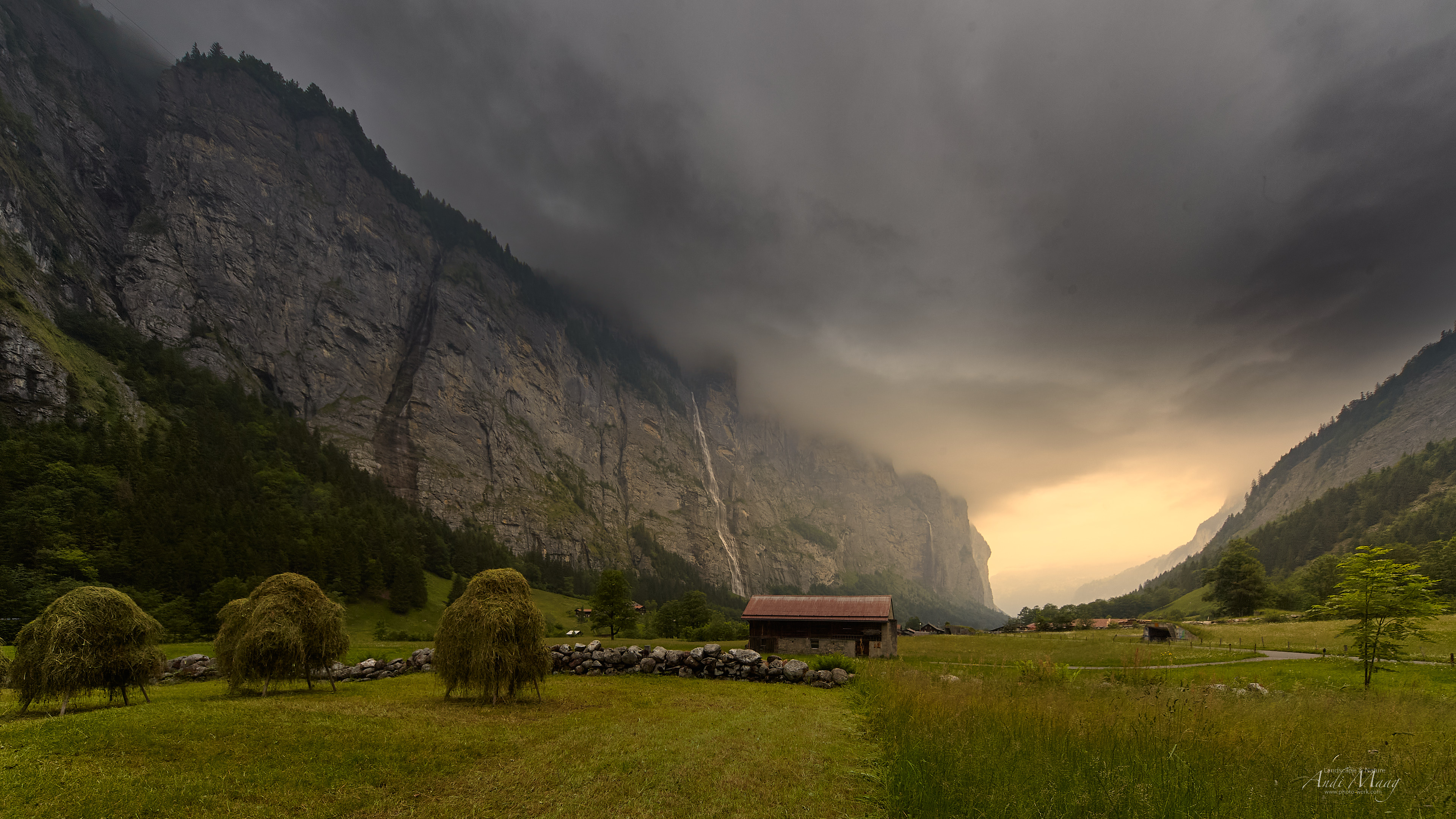  Swiss 