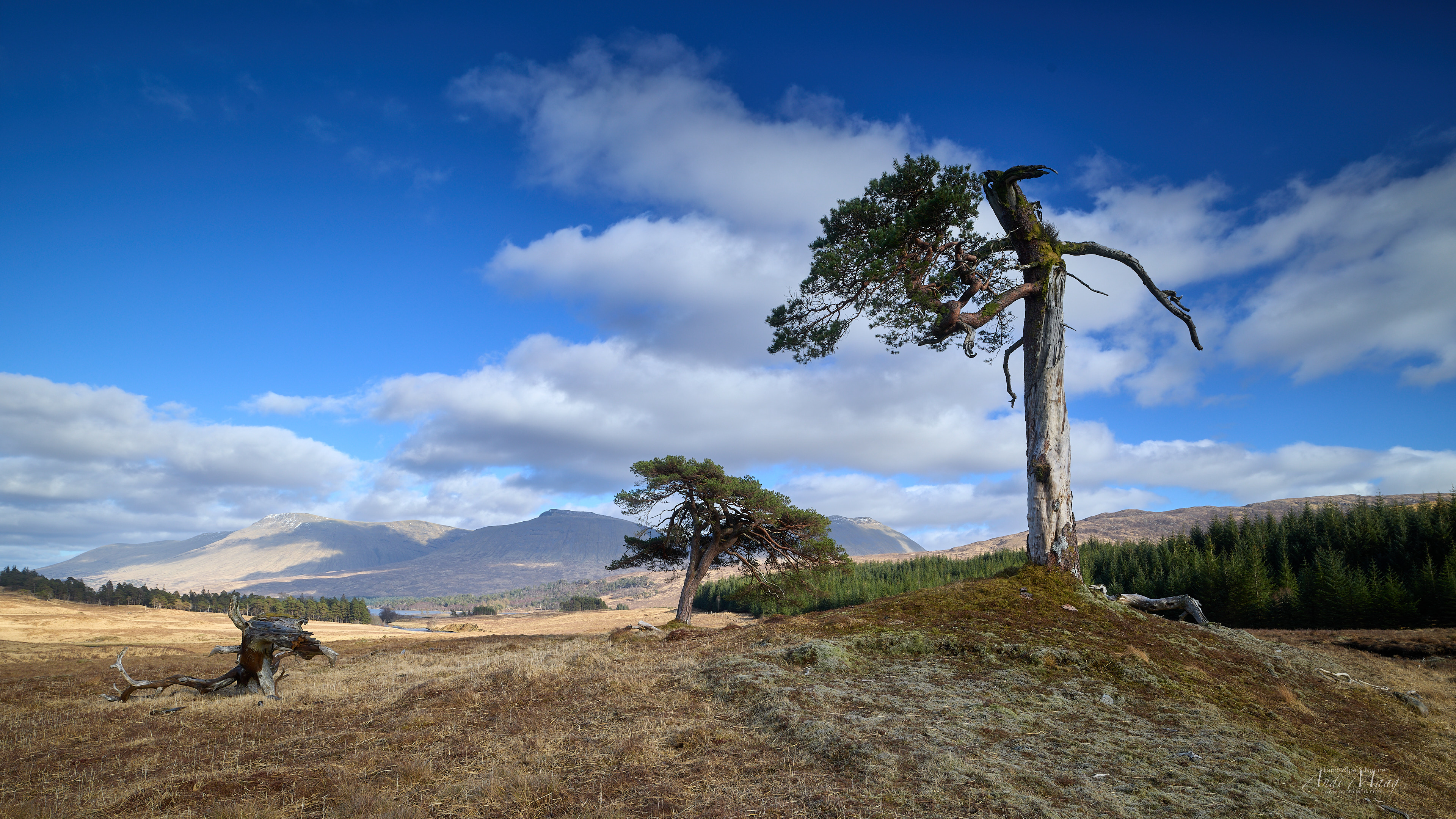  West Scotland 
