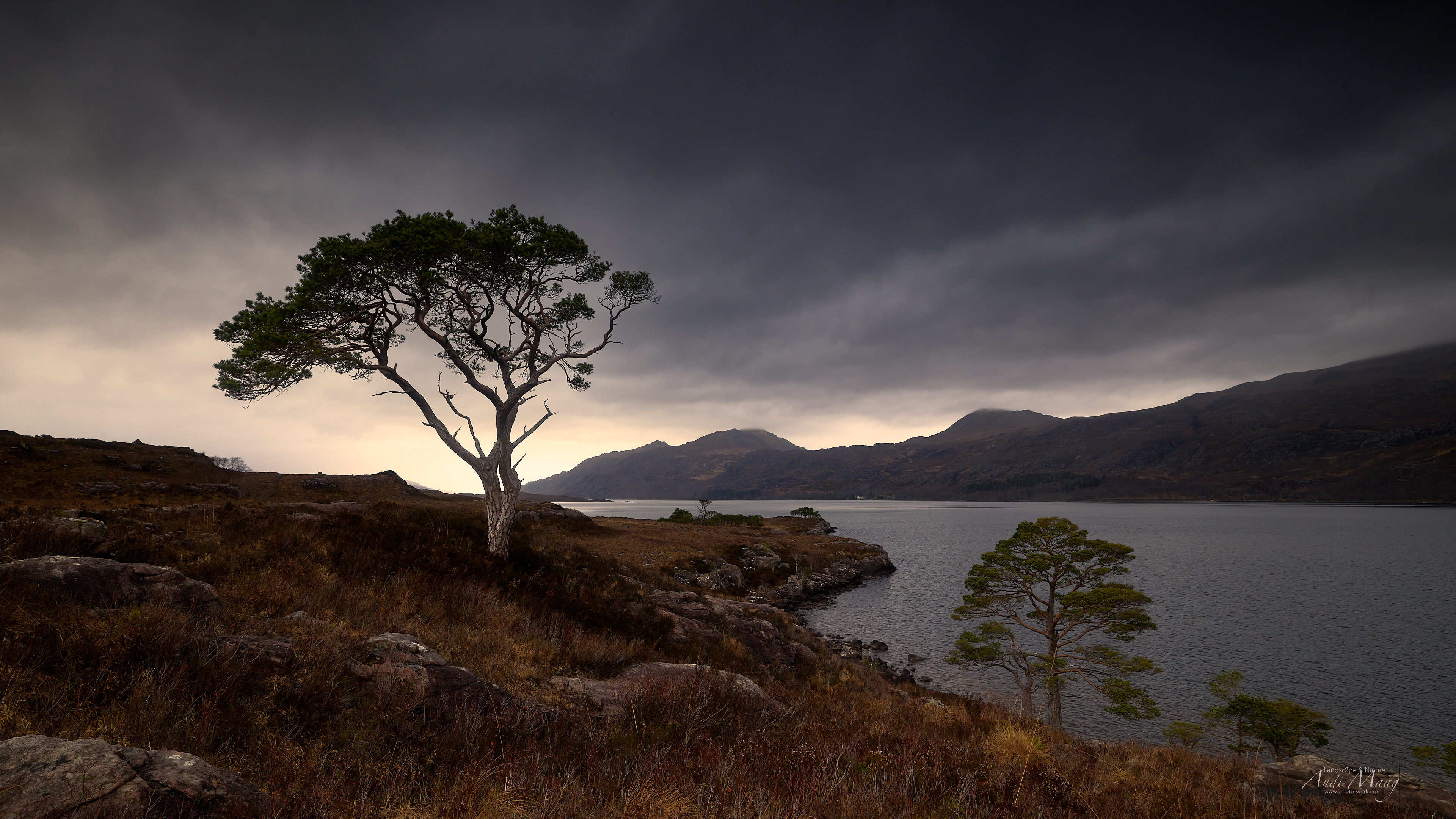  Scotland 