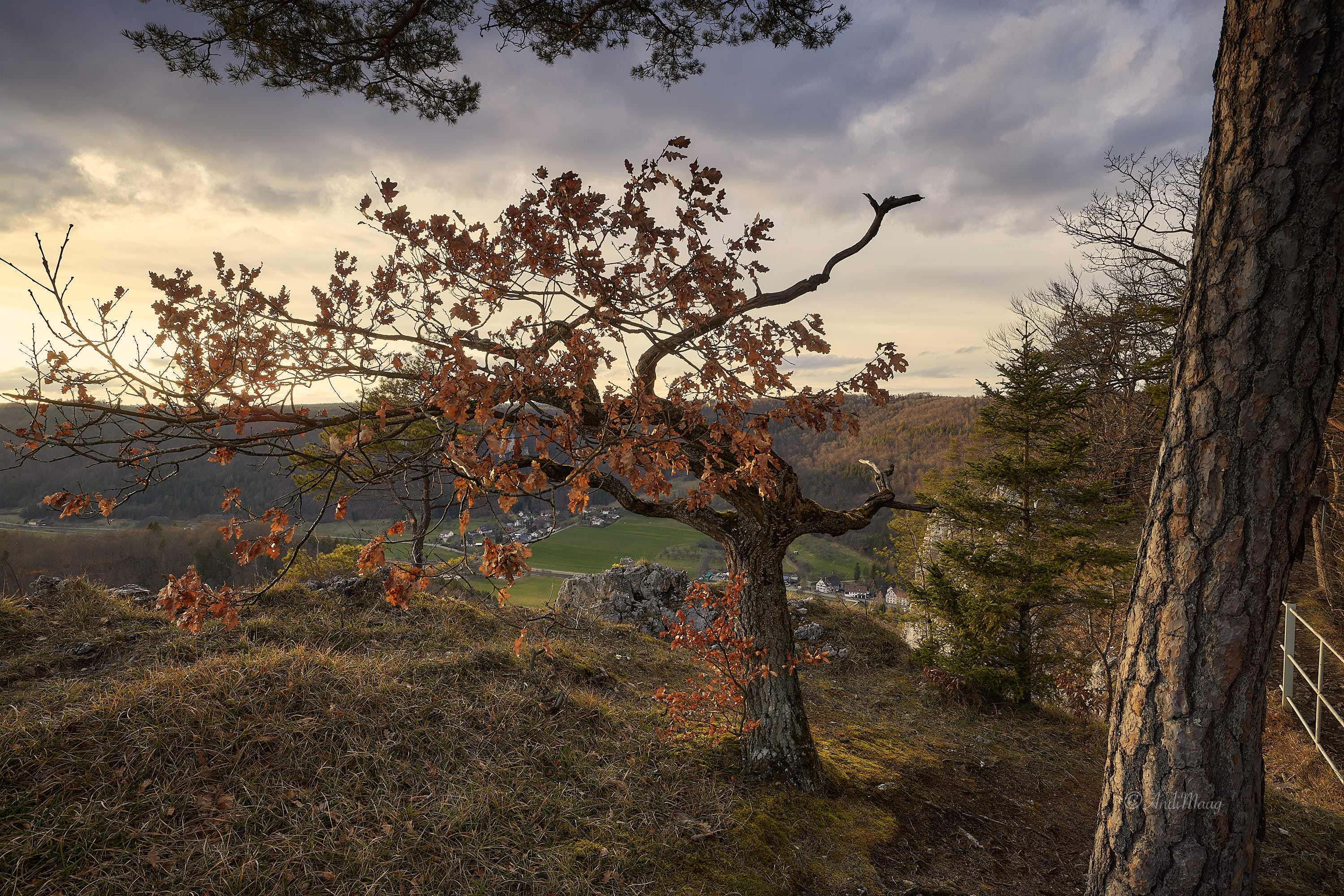  Der Naturpark Obere Donau liegt im Süden Baden-Württembergs und umfasst große Teile der Landkreise Tuttlingen, Sigmaringen, Zollernalb und Biberach. Er wurde am 5. Dezember 1980 gegründet und ist einer von insgesamt sieben Naturparks in Baden-Württemberg. 